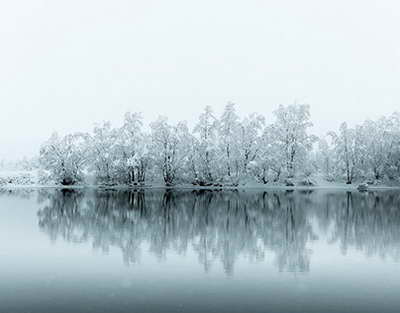 Prezident Şahbaz Şərifi təbrik etdi