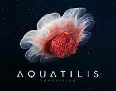 Еуразиялық даму банкі Қазақстан экономикасына қанша қаржы құйды