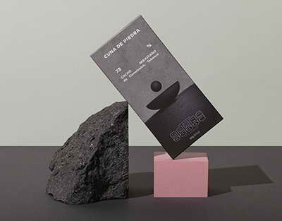 Мемлекет басшысының тапсырмасы: Қазақстанда отандық ғалымдардың әзірлемелері негізінде жаңа зауыт іске қосылды