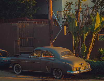 Series of the Week: Return to the Cursed City and Elle Fanning in the World of OnlyFans